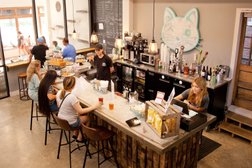 Purrfect Day Cat Cafe Photo