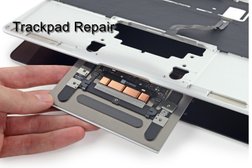 Tech Shield Computer Repair Photo
