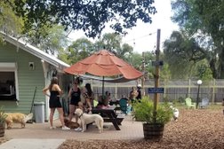 Hair of the Dog Park in Tampa