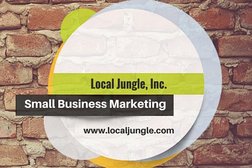 Local Jungle Online Marketing Photo