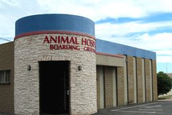 Christown Animal Hospital in Phoenix