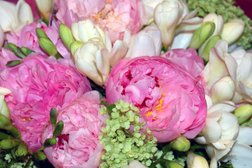 Romance in Blooms, ltd Photo