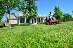 Pro Lawn Care Services in Tampa