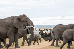 ROAR AFRICA - Luxury African Safaris Photo