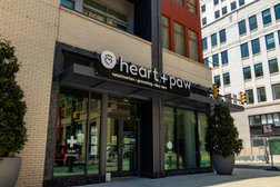 Heart + Paw in Philadelphia