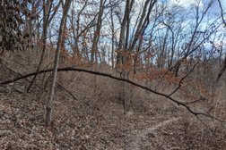 Rozarks Nature Trail in Kansas City