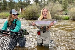Trouts Fly Fishing in Denver