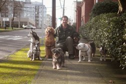 Alpha Dog Walking, LLC. in Seattle