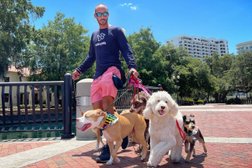 Eola Pets in Orlando