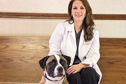 Advanced Pet Care of Clear Lake in Houston