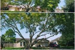 OM Tree Service in Houston