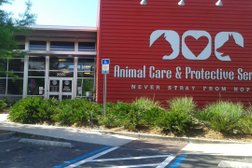 Animal Care and Protective Services Photo