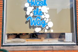 Wash the Wag in Baltimore