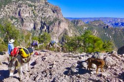 Copper Canyon Trails, LLC in Tucson