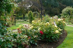 James P. Kelleher Rose Garden in Boston