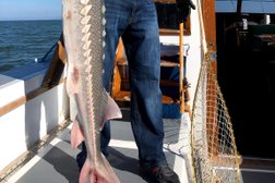 San Francisco Fishing Charters Photo