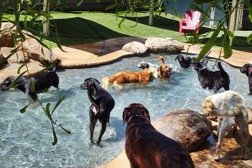 Second Home Pet Resort in Phoenix