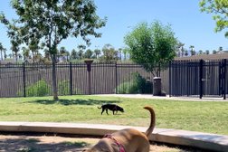 Hance Park Dog Park in Phoenix