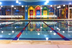 Pengu Swim School - Houston Central Photo