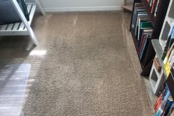 Tampa Carpet Cleaner in Tampa