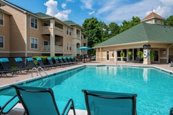 Mayfaire Apartments in Raleigh