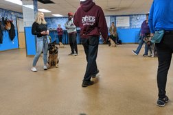 Argos Dog Training Photo