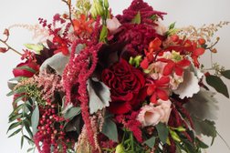 Your Enchanted Florist in St. Paul
