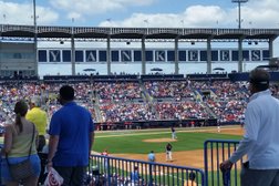 Yankees Fantasy Baseball Camp in Tampa