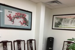 AMC Dragon Acupuncture in Encino Photo