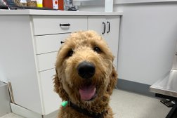 Williamsburg Veterinary Clinic Photo