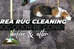 Carpet Cleaning Chicago Photo