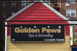 Golden Paws Spa & Grooming in New York City