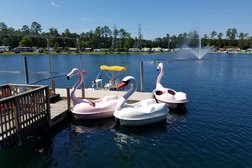 Flamingo Lake RV Resort in Jacksonville