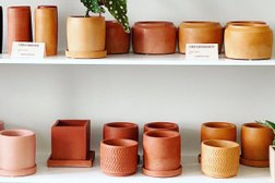 Cool Hand Robyn Pottery and Plants Photo