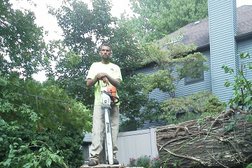 Tree Contractors Inc in Cleveland