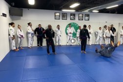 Active Jiu Jitsu Houston Photo