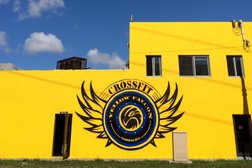 Crossfit Yellow Falcon Miami Photo