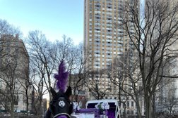 Royal Horse Carriage Ride Photo