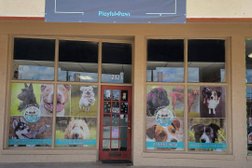 Playful Paws Grooming LLC in San Antonio