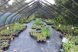 Keystone Flora Native Plant Nursery in Cincinnati