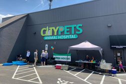 CityPets614 Animal Hospital in Columbus