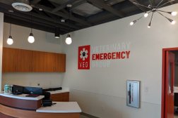 Veterinary Emergency Group in Fort Worth