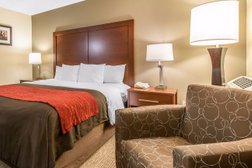Comfort Inn & Suites Denver Northfield Photo