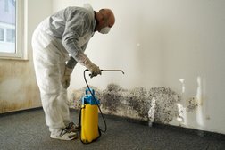 Pittsburgh Mold Remediation Services Photo