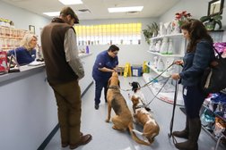 Tanglewilde Veterinary Clinic Photo