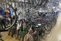 Grey Matter Family Bicycle Shop Photo