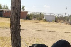 At-Home Kennels in Tucson