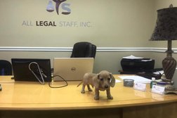 All Legal Staff, Inc. in Tampa