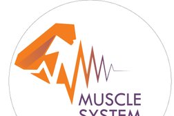 Muscle System Consortia Photo