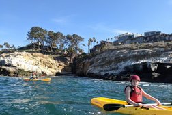 La Jolla Sea Cave Kayaks Photo